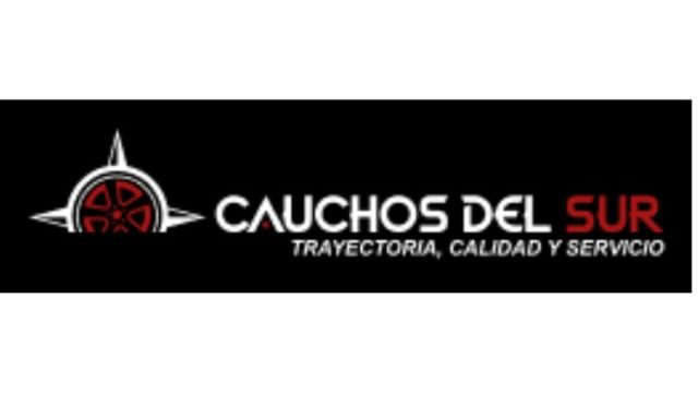 CAUCHOS DEL SUR C.A